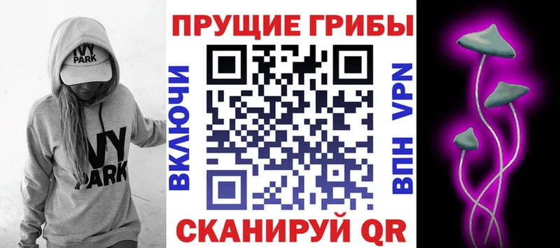 Галлюциногенные грибы Psilocybine cubensis  Заинск 