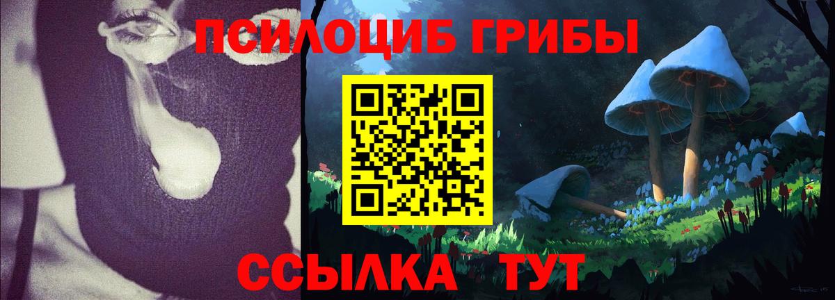 Галлюциногенные грибы Psilocybe  Галлюциногенные грибы Magic Shrooms  Заинск 